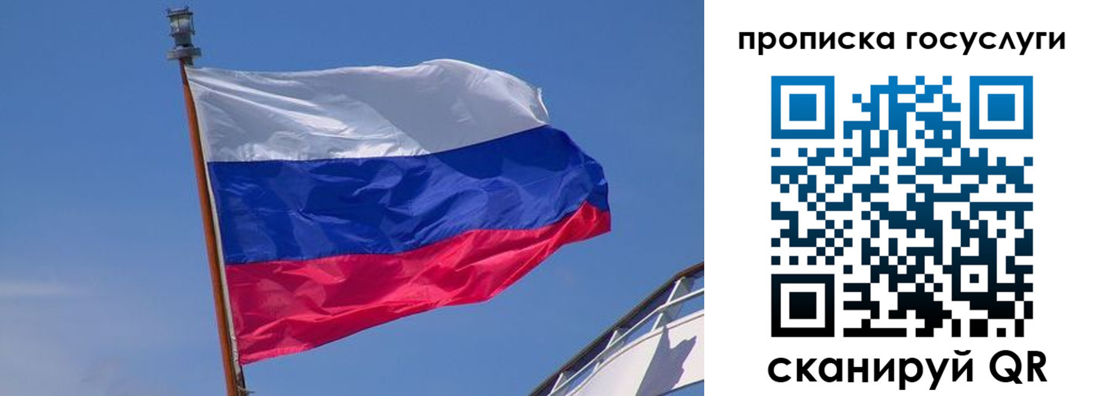 регистрация в Курской области