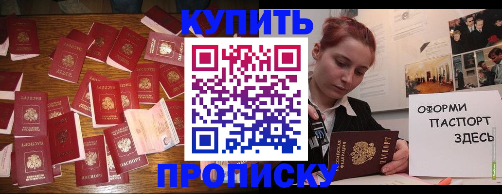 временная регистрация поиск в Курской области